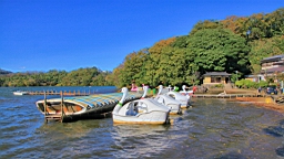 2015-11-272151.JPG