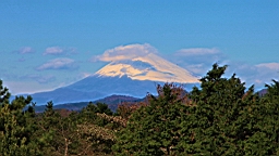 2015-11-272164.JPG