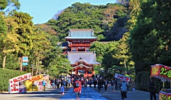 2015-11-282198.JPG
