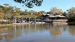 2015-11-282201.JPG