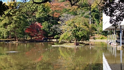 2015-11-282205.JPG