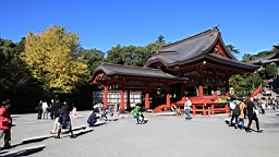 2015-11-282215.JPG
