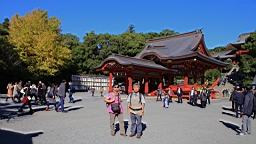 2015-11-282218.JPG