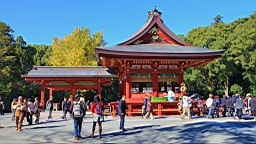 2015-11-282232.JPG
