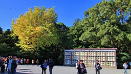 2015-11-282236.JPG