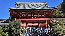 2015-11-282237.JPG