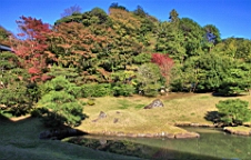 2015-11-282280.JPG