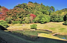 2015-11-282282.JPG