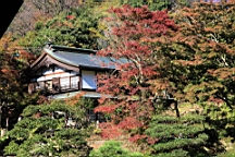 2015-11-282286.JPG