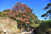 2015-11-282289.JPG