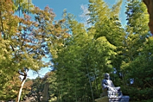 2015-11-282292.JPG