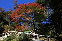 2015-11-282304.JPG