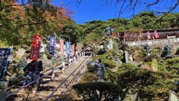 2015-11-282313.JPG