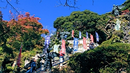 2015-11-282315.JPG