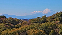 2015-11-282321.JPG