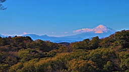 2015-11-282323.JPG