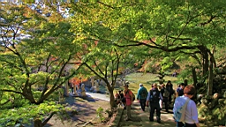 2015-11-282331.JPG