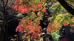2015-11-282332.JPG