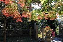 2015-11-282333.JPG