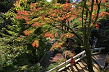 2015-11-282335.JPG