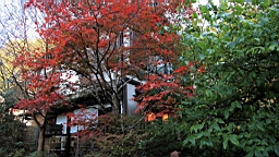2015-11-282341.JPG