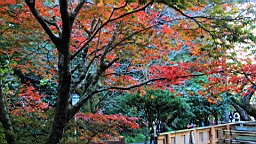 2015-11-282343.JPG