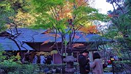 2015-11-282348.JPG