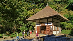 2015-11-282357.JPG