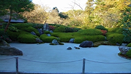 2015-11-282364.JPG