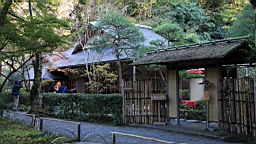 2015-11-282371.JPG