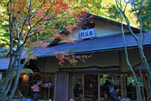 2015-11-282372.JPG