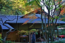 2015-11-282373.JPG