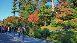 2015-11-282380.JPG
