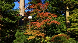 2015-11-282381.JPG