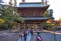 2015-11-282398.JPG