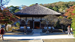 2015-11-282399.JPG