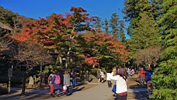 2015-11-282401.JPG