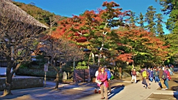 2015-11-282407.JPG