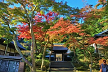 2015-11-282411.JPG