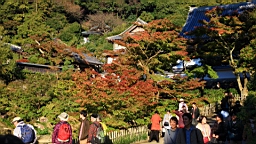 2015-11-282420.JPG