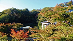 2015-11-282429.JPG