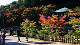 2015-11-282430.JPG