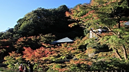 2015-11-282432.JPG