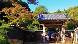 2015-11-282442.JPG