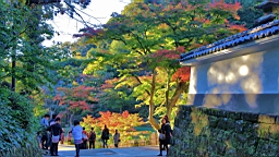 2015-11-282450.JPG