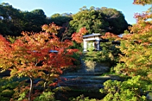 2015-11-282452.JPG