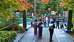 2015-11-282455.JPG