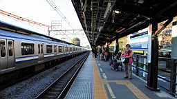 2015-11-282456.JPG