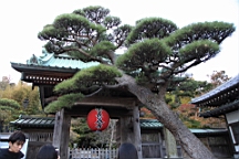 2015-11-282459.JPG