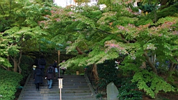 2015-11-282463.JPG